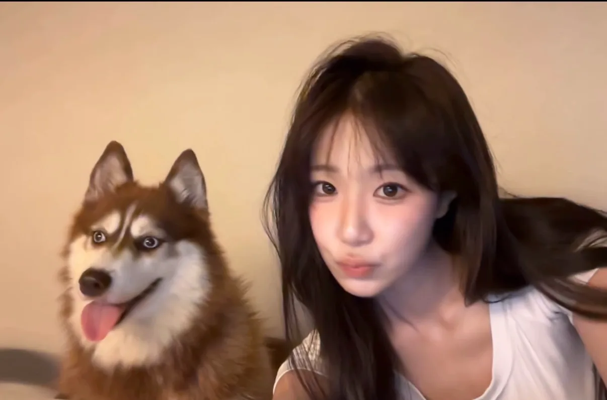 테오랑 같이 찍은 영상에서 후딱 캡쳐해왔습니다.